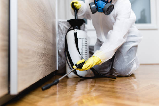 Best Best Pest Control Companies  in Benjamin, UT