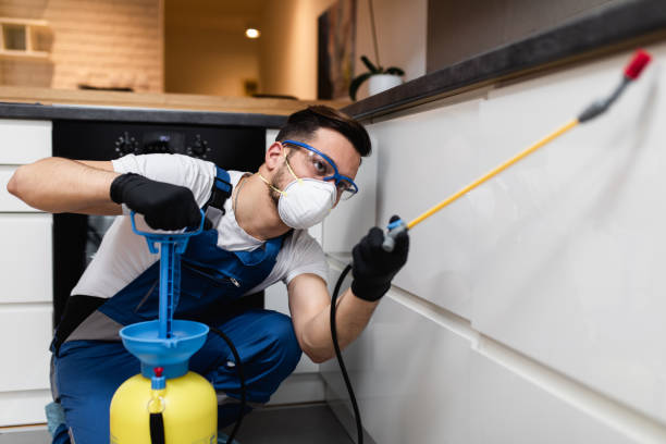 Pest Prevention Services in Benjamin, UT