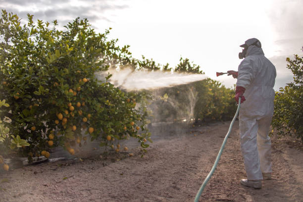 Pest Control for Restaurants in Benjamin, UT