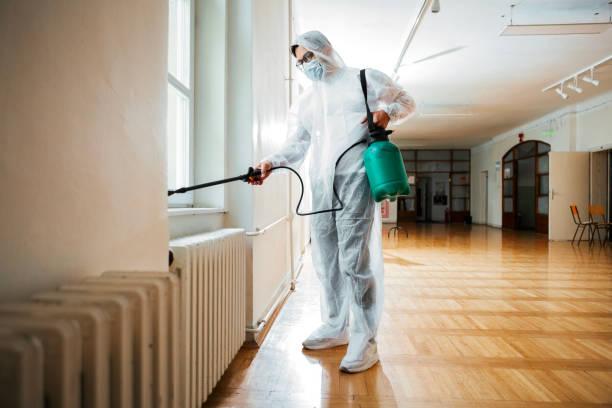 Best Bed Bug Extermination  in Benjamin, UT