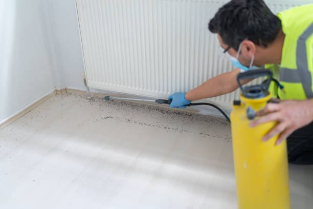 Best Ant Control Services  in Benjamin, UT