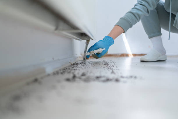Best Cockroach Control Services  in Benjamin, UT